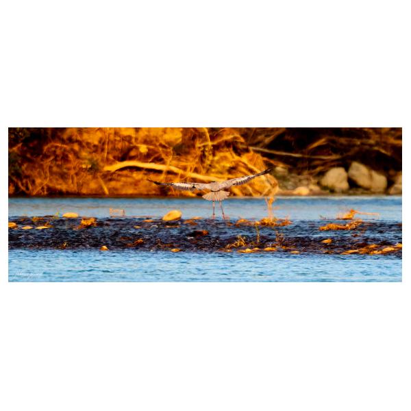 PHOTO84, CLUB, 84 , LUBERON